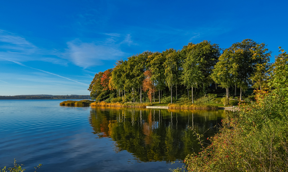 Natur billede af Bygholm Sø i Horsens